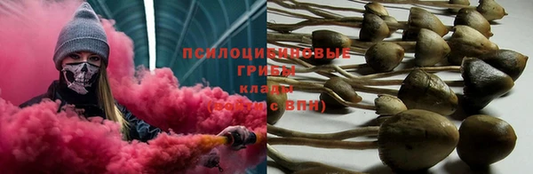 каннабис Алзамай