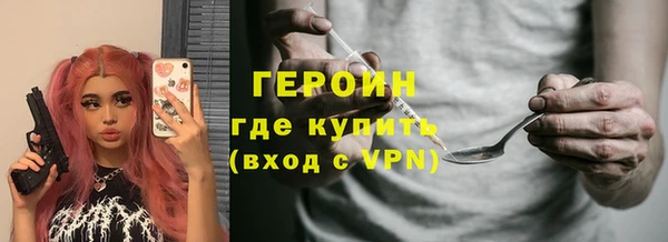 гашик Алексин
