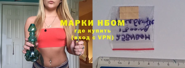гашик Алексин