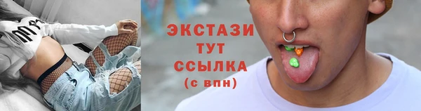 гашик Алексин