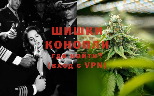 гашик Алексин