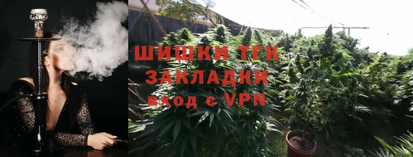 гашик Алексин
