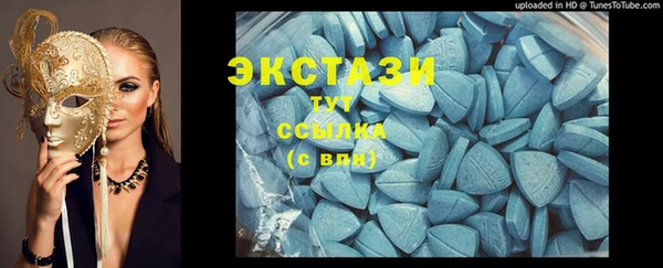 гашик Алексин